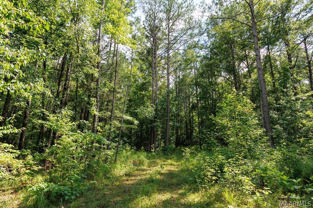 0 Mt Hebron Road, Eclectic, AL 36024 0 Mt Hebron Road, Eclectic, AL 36024