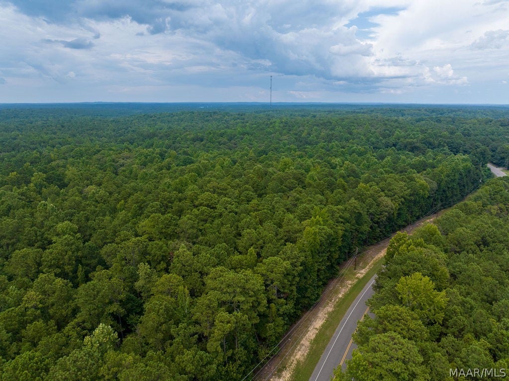0 Mt Hebron Road, Eclectic, AL 36024 0 Mt Hebron Road, Eclectic, AL 36024