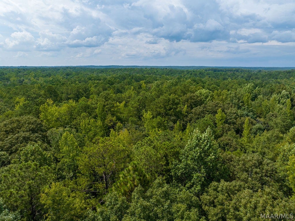 0 Mt Hebron Road, Eclectic, AL 36024 0 Mt Hebron Road, Eclectic, AL 36024