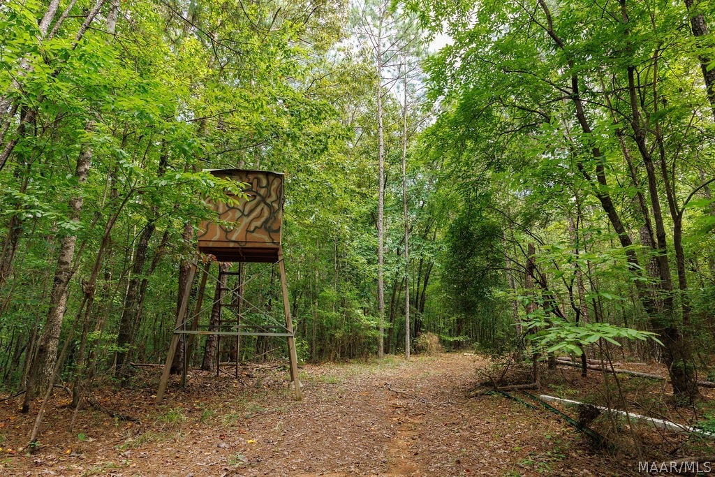 0 Mt Hebron Road, Eclectic, AL 36024 0 Mt Hebron Road, Eclectic, AL 36024