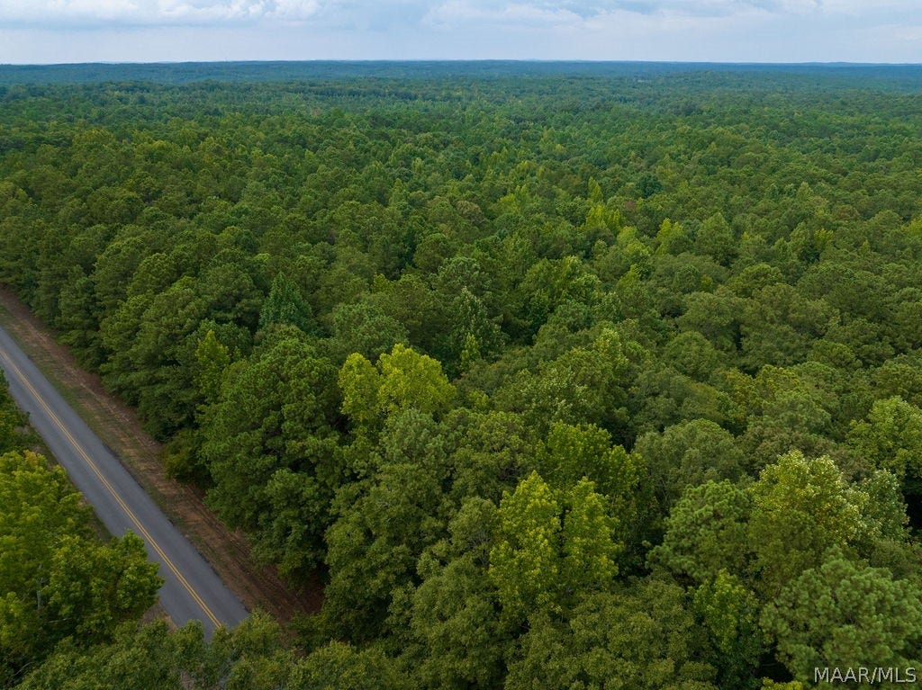 0 Mt Hebron Road, Eclectic, AL 36024 0 Mt Hebron Road, Eclectic, AL 36024