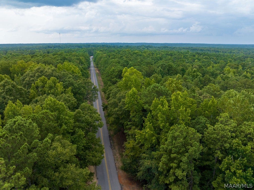 0 Mt Hebron Road, Eclectic, AL 36024 0 Mt Hebron Road, Eclectic, AL 36024