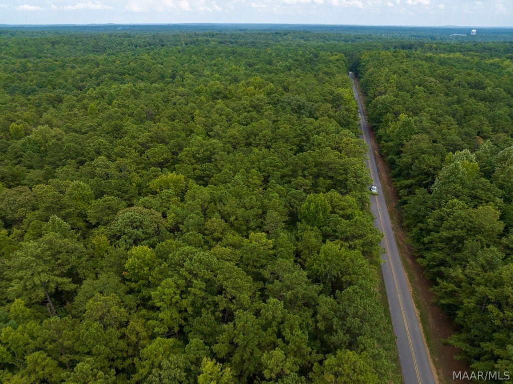 0 Mt Hebron Road, Eclectic, AL 36024 0 Mt Hebron Road, Eclectic, AL 36024