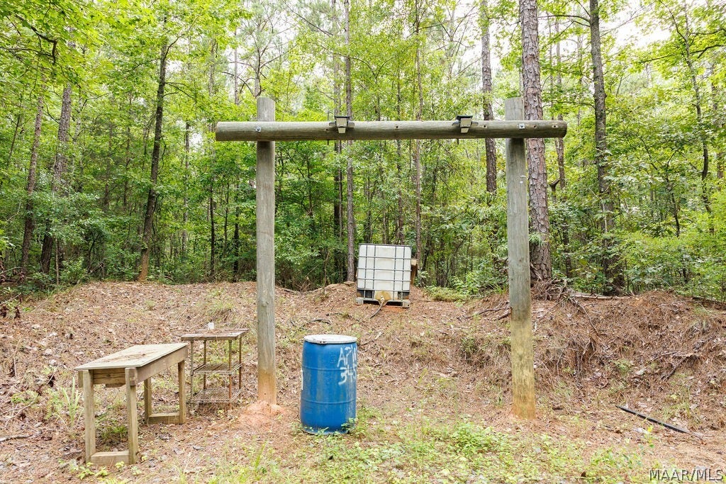 0 Mt Hebron Road, Eclectic, AL 36024 0 Mt Hebron Road, Eclectic, AL 36024