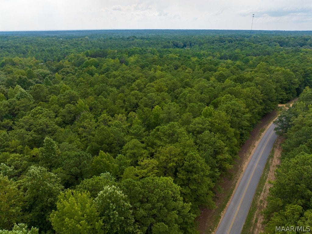 0 Mt Hebron Road, Eclectic, AL 36024 0 Mt Hebron Road, Eclectic, AL 36024