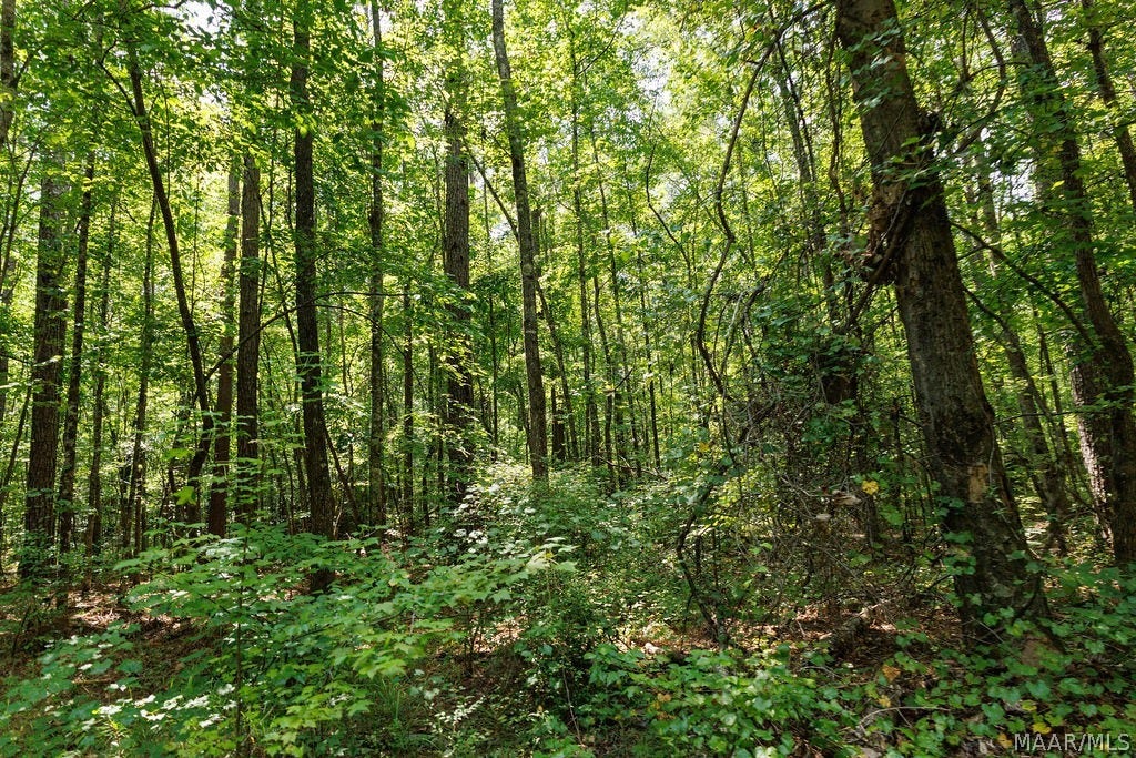 0 Mt Hebron Road, Eclectic, AL 36024 0 Mt Hebron Road, Eclectic, AL 36024