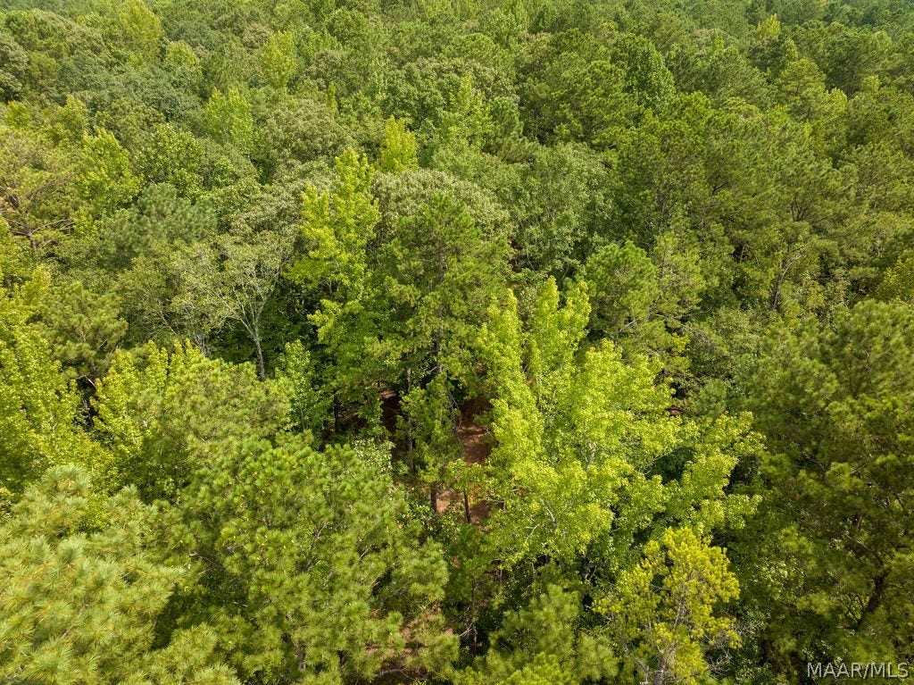 0 Mt Hebron Road, Eclectic, AL 36024 0 Mt Hebron Road, Eclectic, AL 36024