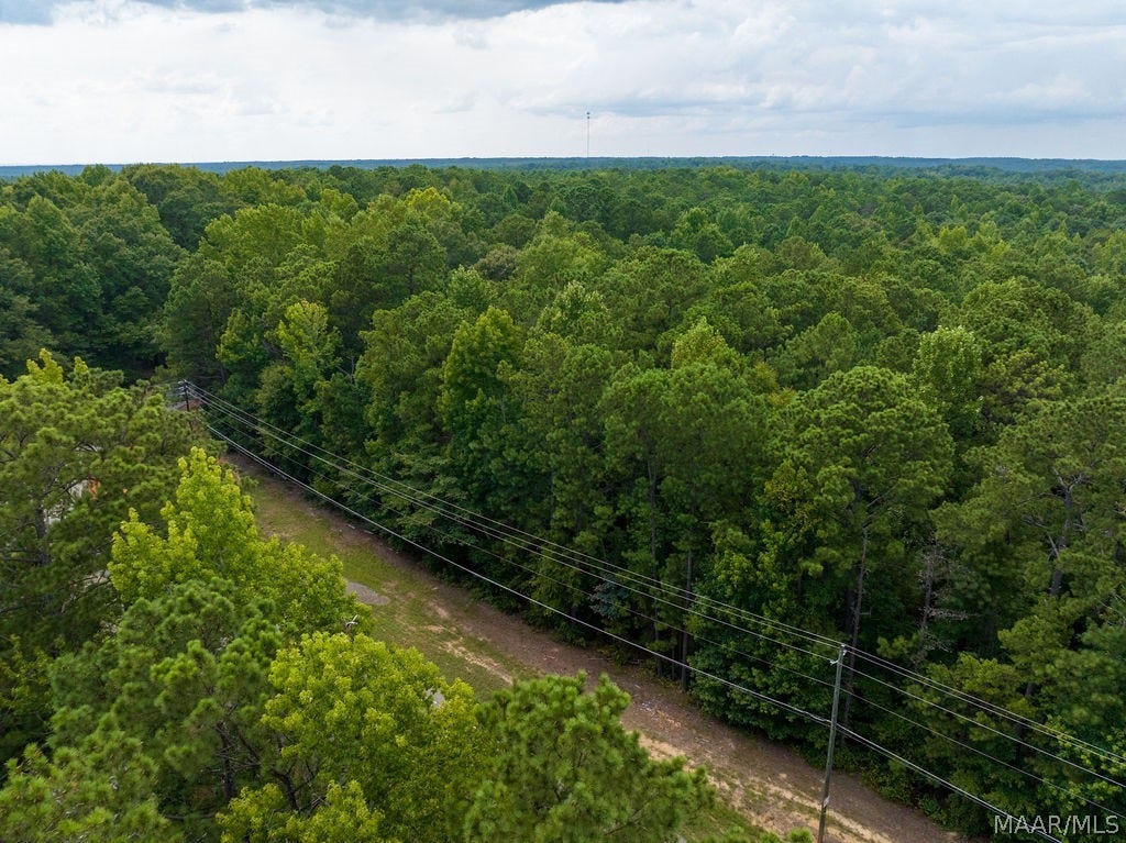 0 Mt Hebron Road, Eclectic, AL 36024 0 Mt Hebron Road, Eclectic, AL 36024