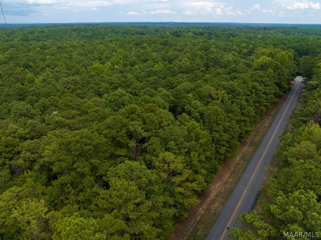 0 Mt Hebron Road, Eclectic, AL 36024 0 Mt Hebron Road, Eclectic, AL 36024