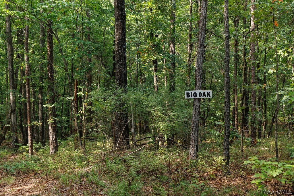 0 Mt Hebron Road, Eclectic, AL 36024 0 Mt Hebron Road, Eclectic, AL 36024