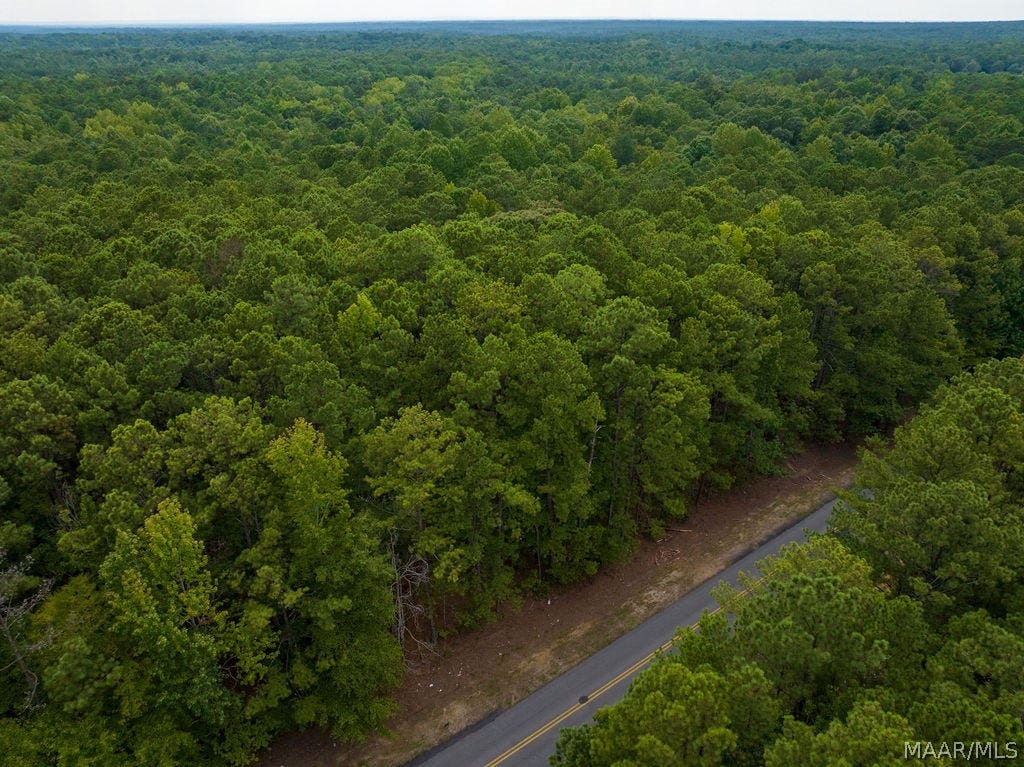 0 Mt Hebron Road, Eclectic, AL 36024 0 Mt Hebron Road, Eclectic, AL 36024