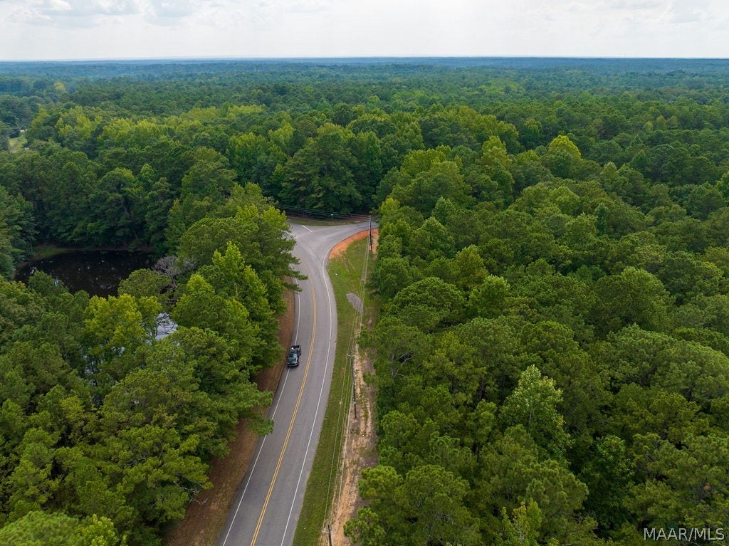 0 Mt Hebron Road, Eclectic, AL 36024 0 Mt Hebron Road, Eclectic, AL 36024