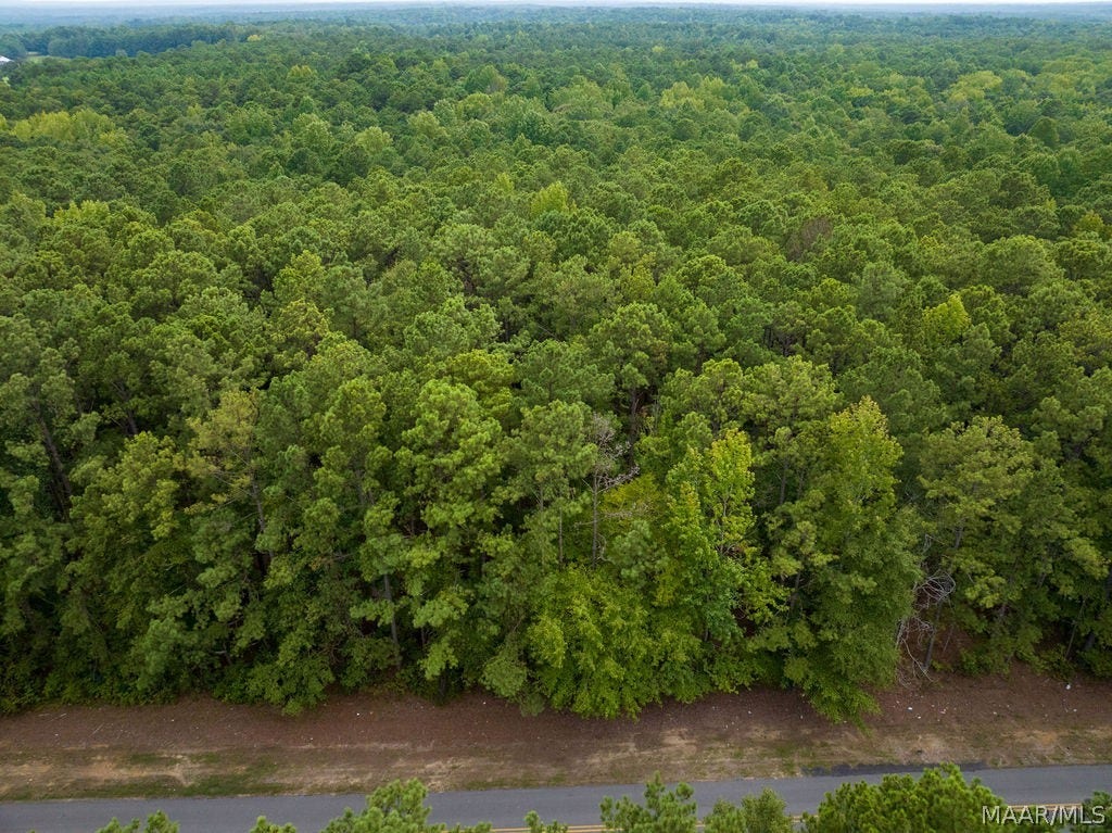 0 Mt Hebron Road, Eclectic, AL 36024 0 Mt Hebron Road, Eclectic, AL 36024