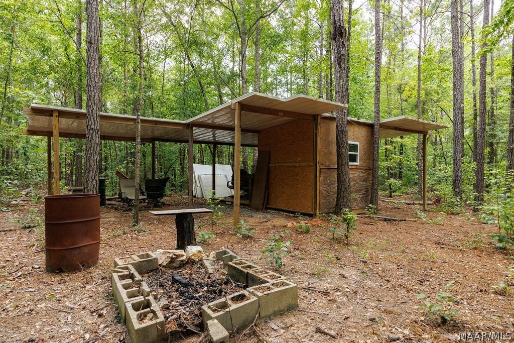 0 Mt Hebron Road, Eclectic, AL 36024 0 Mt Hebron Road, Eclectic, AL 36024
