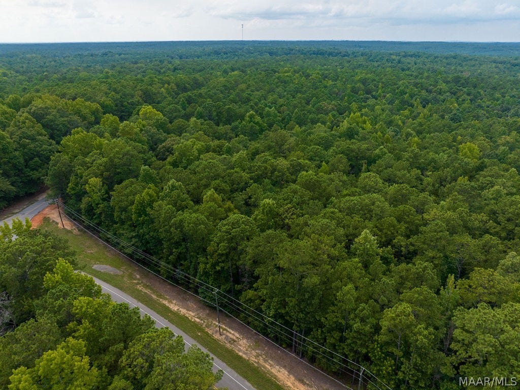 0 Mt Hebron Road, Eclectic, AL 36024 0 Mt Hebron Road, Eclectic, AL 36024