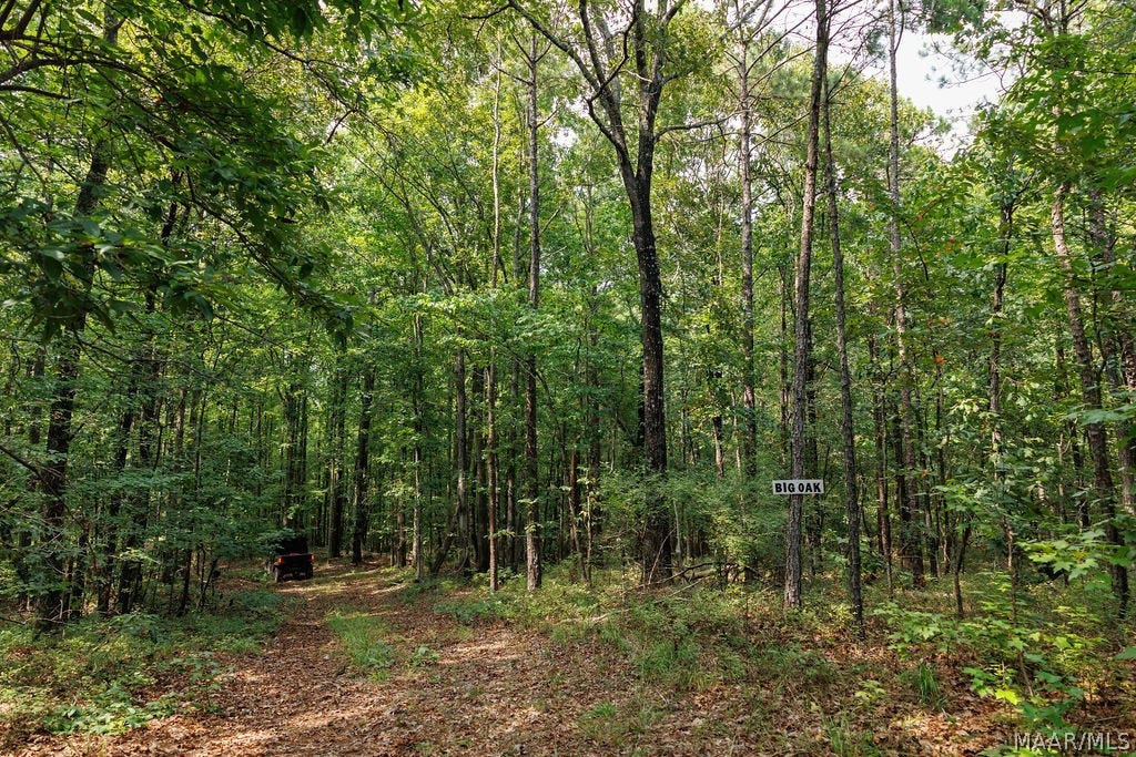 0 Mt Hebron Road, Eclectic, AL 36024 0 Mt Hebron Road, Eclectic, AL 36024
