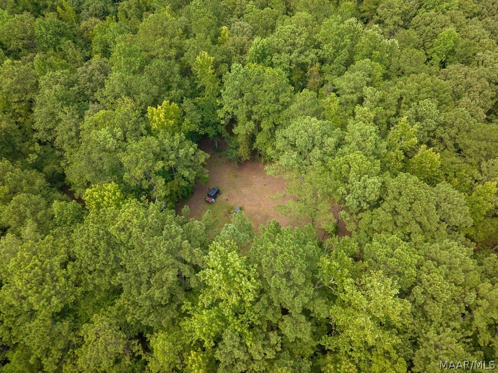 0 Mt Hebron Road, Eclectic, AL 36024 0 Mt Hebron Road, Eclectic, AL 36024