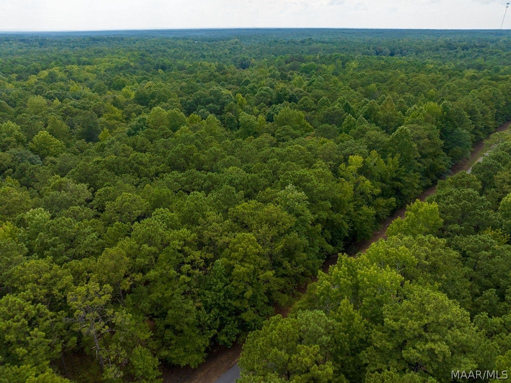 0 Mt Hebron Road, Eclectic, AL 36024 0 Mt Hebron Road, Eclectic, AL 36024