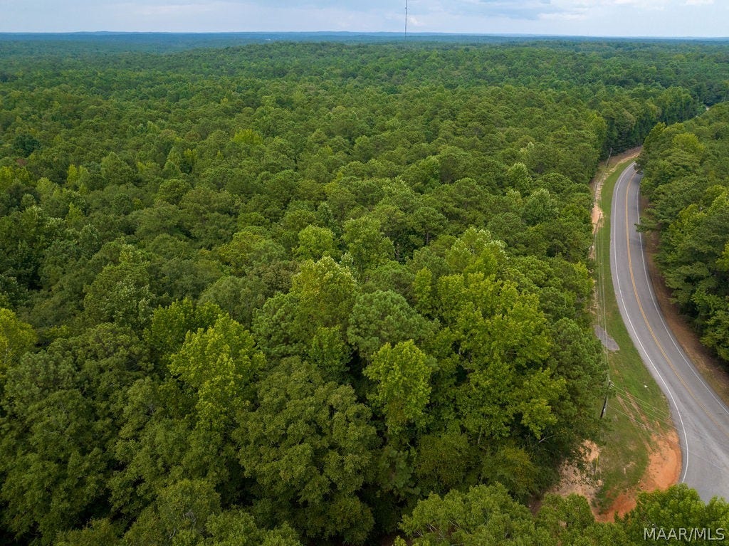 0 Mt Hebron Road, Eclectic, AL 36024 0 Mt Hebron Road, Eclectic, AL 36024