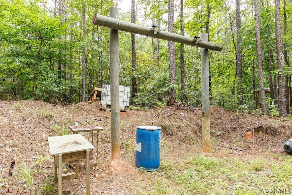 0 Mt Hebron Road, Eclectic, AL 36024 0 Mt Hebron Road, Eclectic, AL 36024