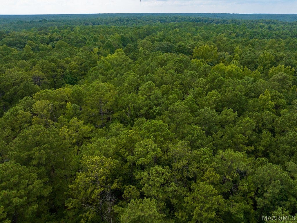 0 Mt Hebron Road, Eclectic, AL 36024 0 Mt Hebron Road, Eclectic, AL 36024