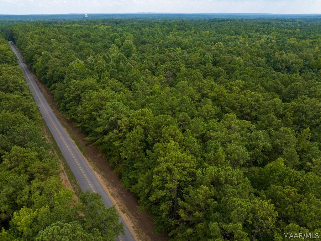 0 Mt Hebron Road, Eclectic, AL 36024 0 Mt Hebron Road, Eclectic, AL 36024