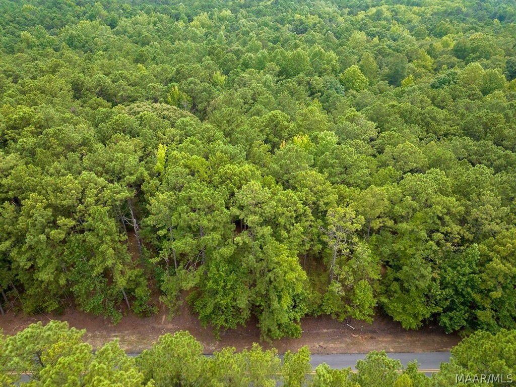 0 Mt Hebron Road, Eclectic, AL 36024 0 Mt Hebron Road, Eclectic, AL 36024