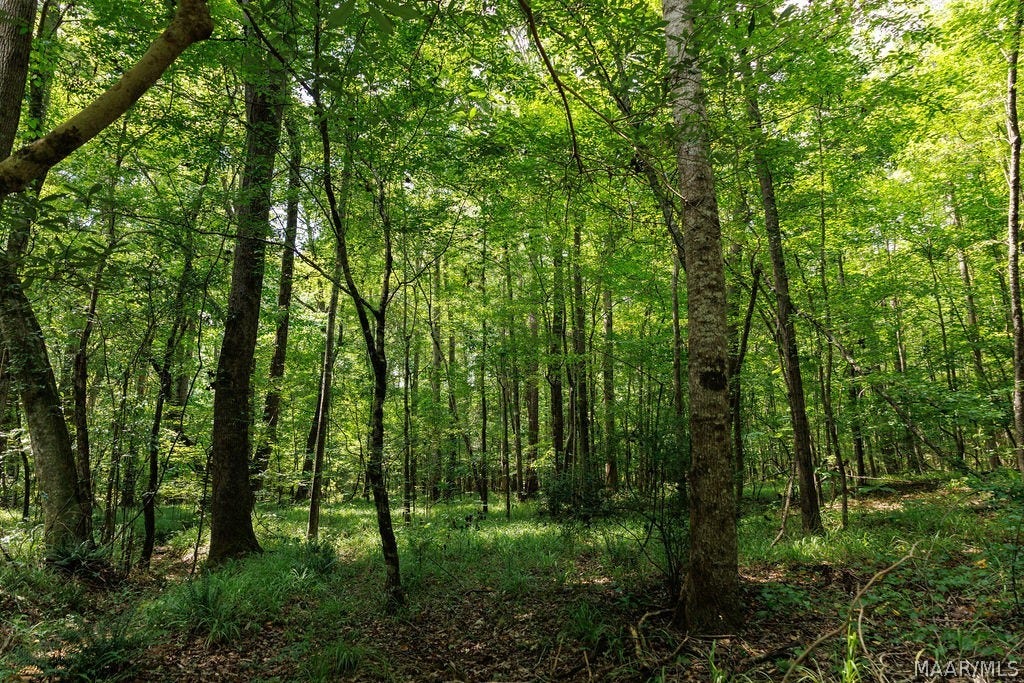 0 Mt Hebron Road, Eclectic, AL 36024 0 Mt Hebron Road, Eclectic, AL 36024