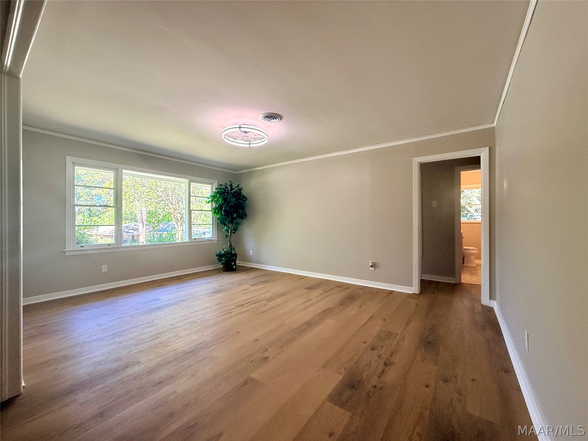View from Dining Room