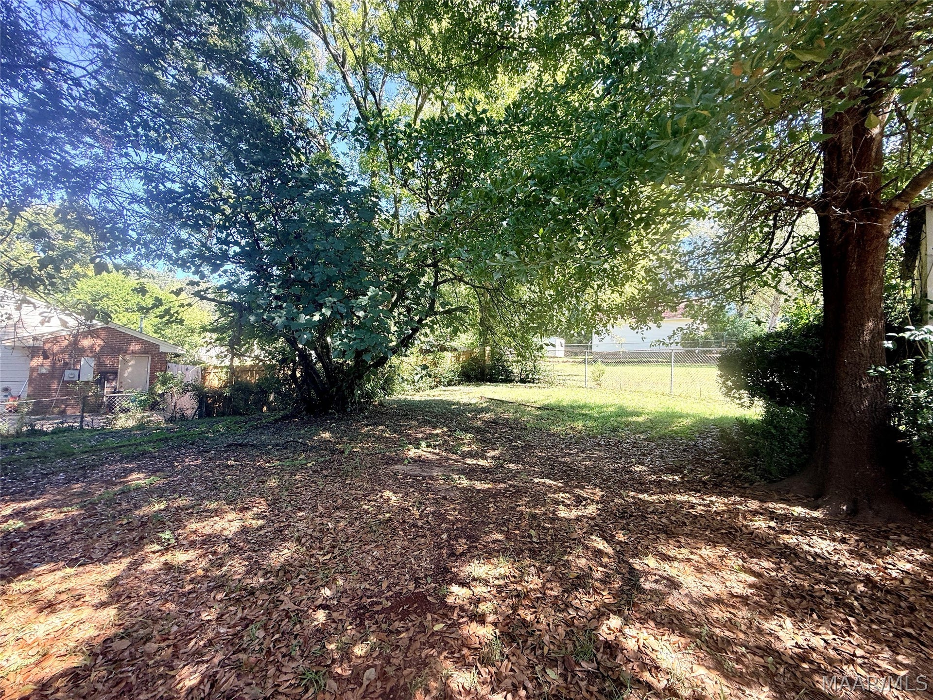 Backyard area