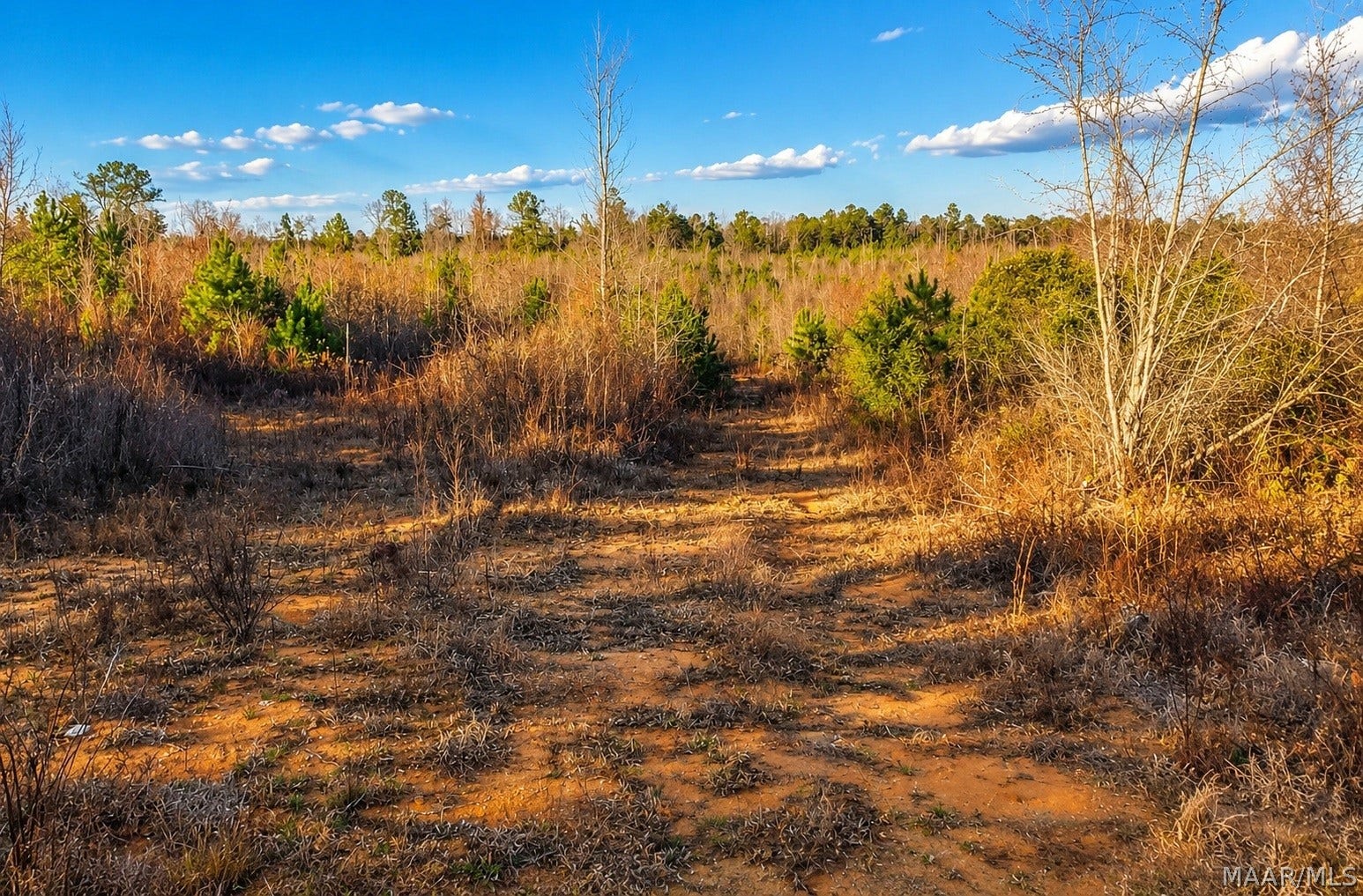 0 Brownin Road, Ralph, AL 35480 0 Brownin Road, Ralph, AL 35480