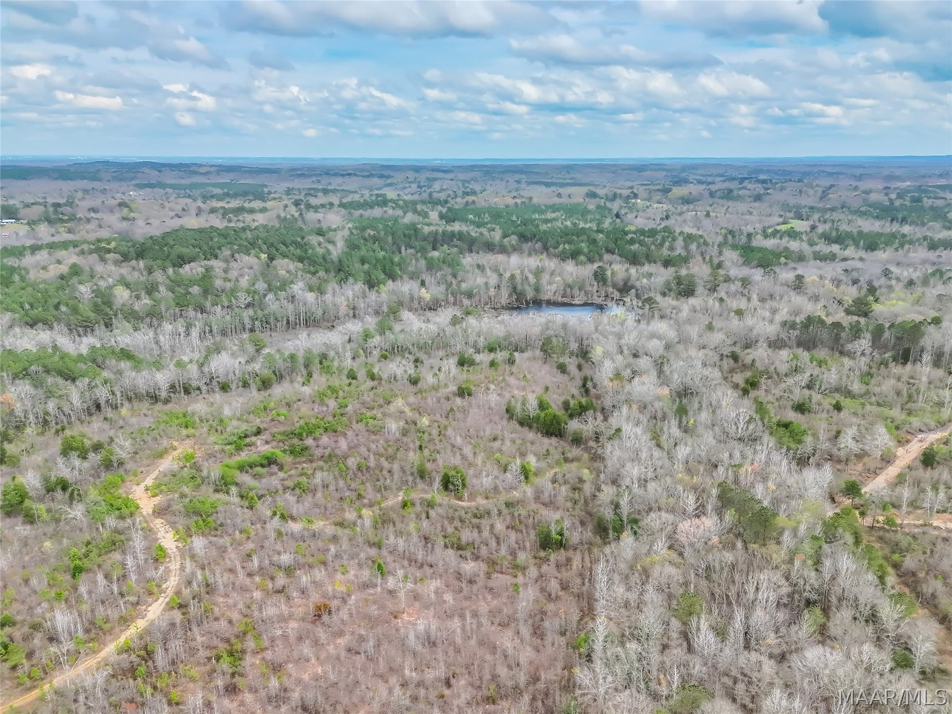 0 Brownin Road, Ralph, AL 35480 0 Brownin Road, Ralph, AL 35480