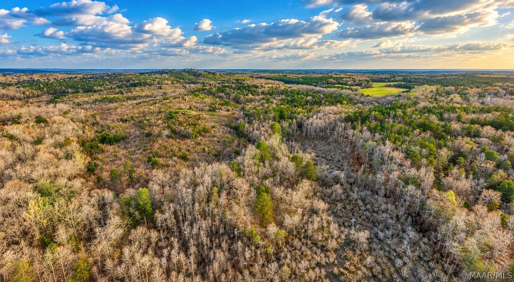 0 Brownin Road, Ralph, AL 35480 0 Brownin Road, Ralph, AL 35480