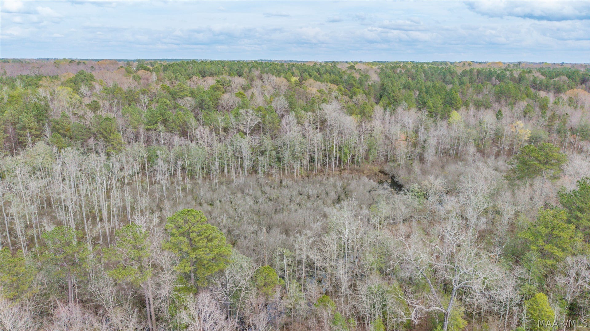 0 Brownin Road, Ralph, AL 35480 0 Brownin Road, Ralph, AL 35480