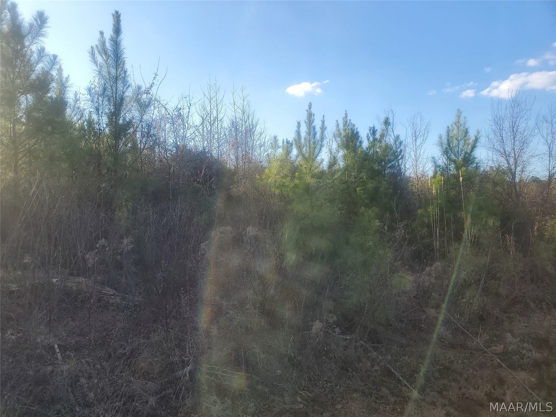 0 Brownin Road, Ralph, AL 35480 0 Brownin Road, Ralph, AL 35480