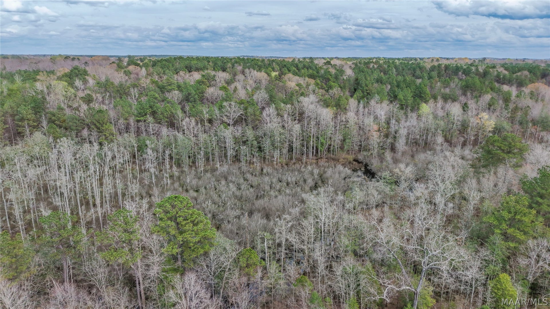 0 Brownin Road, Ralph, AL 35480 0 Brownin Road, Ralph, AL 35480