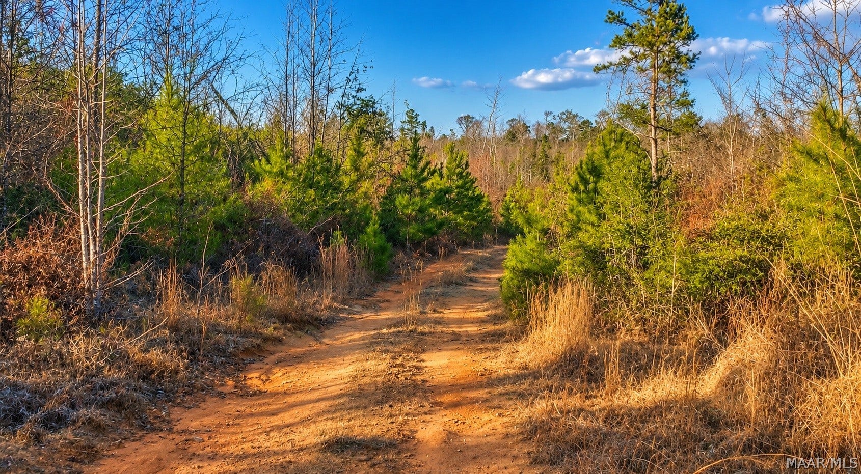 0 Brownin Road, Ralph, AL 35480 0 Brownin Road, Ralph, AL 35480