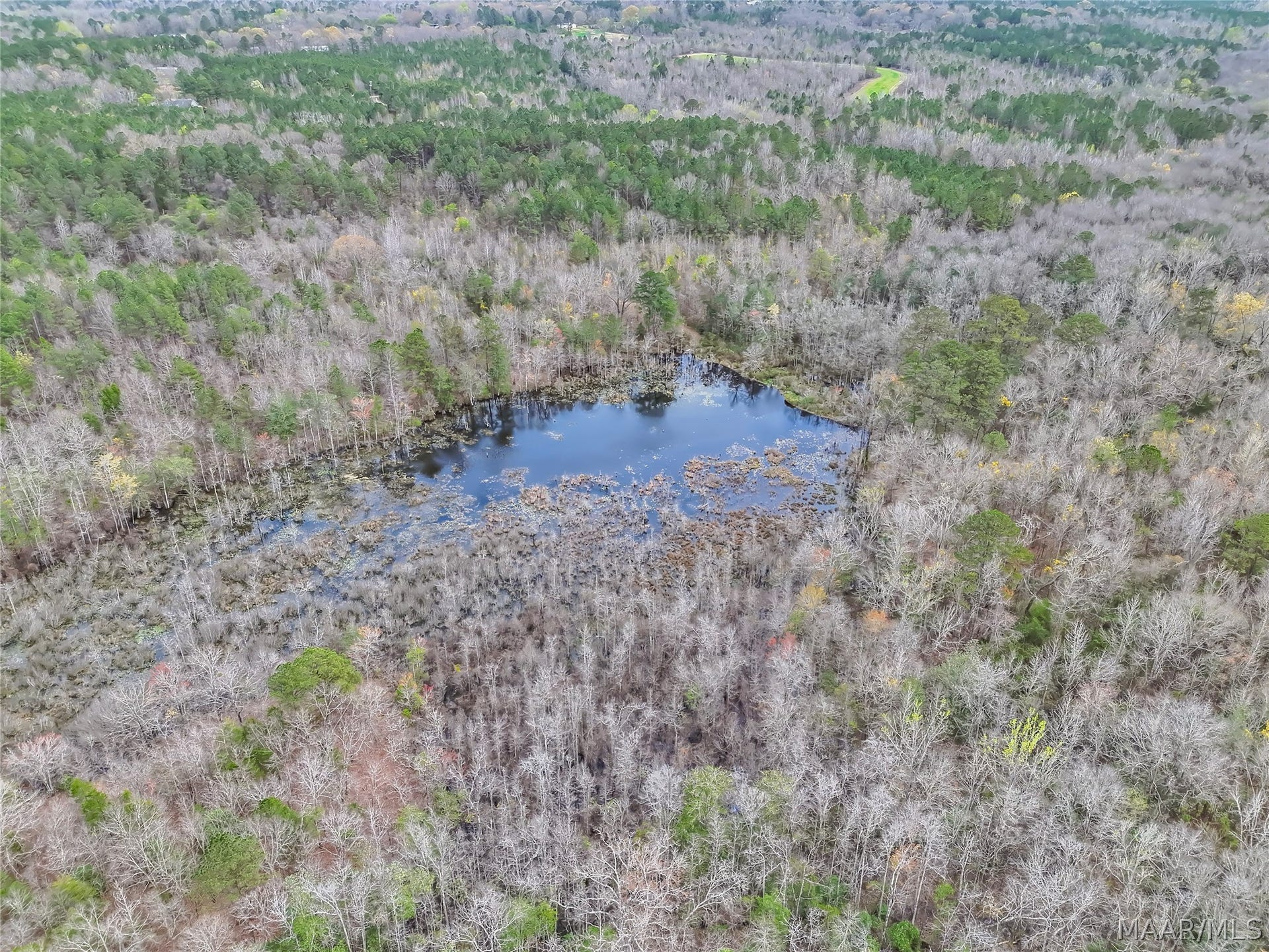 0 Brownin Road, Ralph, AL 35480 0 Brownin Road, Ralph, AL 35480