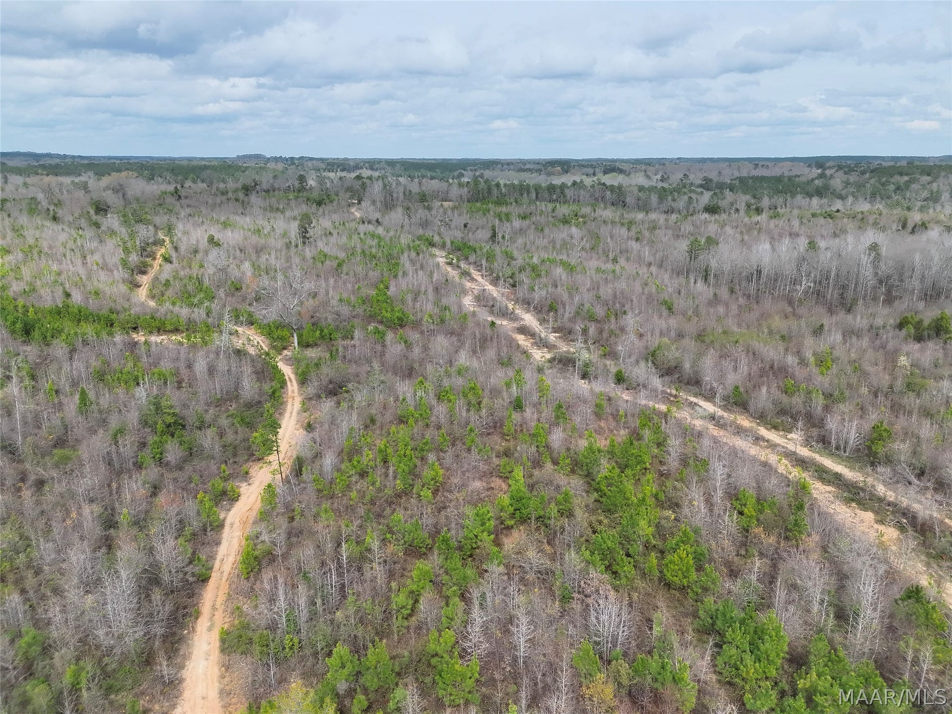 0 Brownin Road, Ralph, AL 35480 0 Brownin Road, Ralph, AL 35480