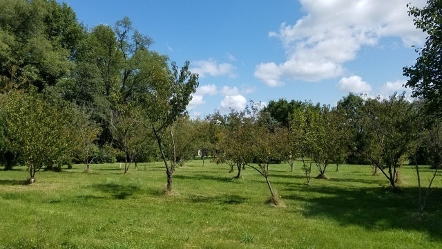 Property photo for 5548 W Heatherbrook Trail, Monee, IL