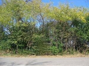 Property photo for 0 151ST & MACGREGOR Street, Lockport, IL