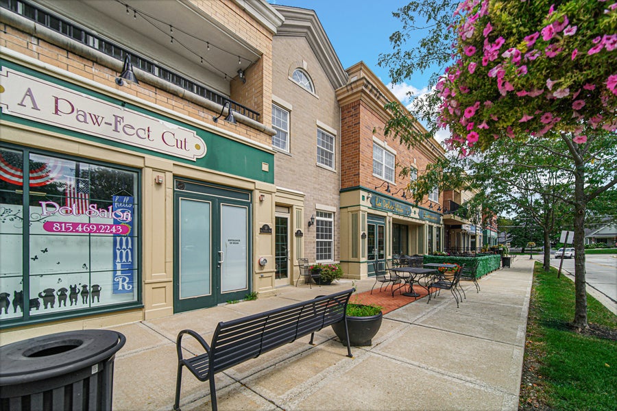 Property photo for 29 Old Frankfort Way, #205, Frankfort, IL