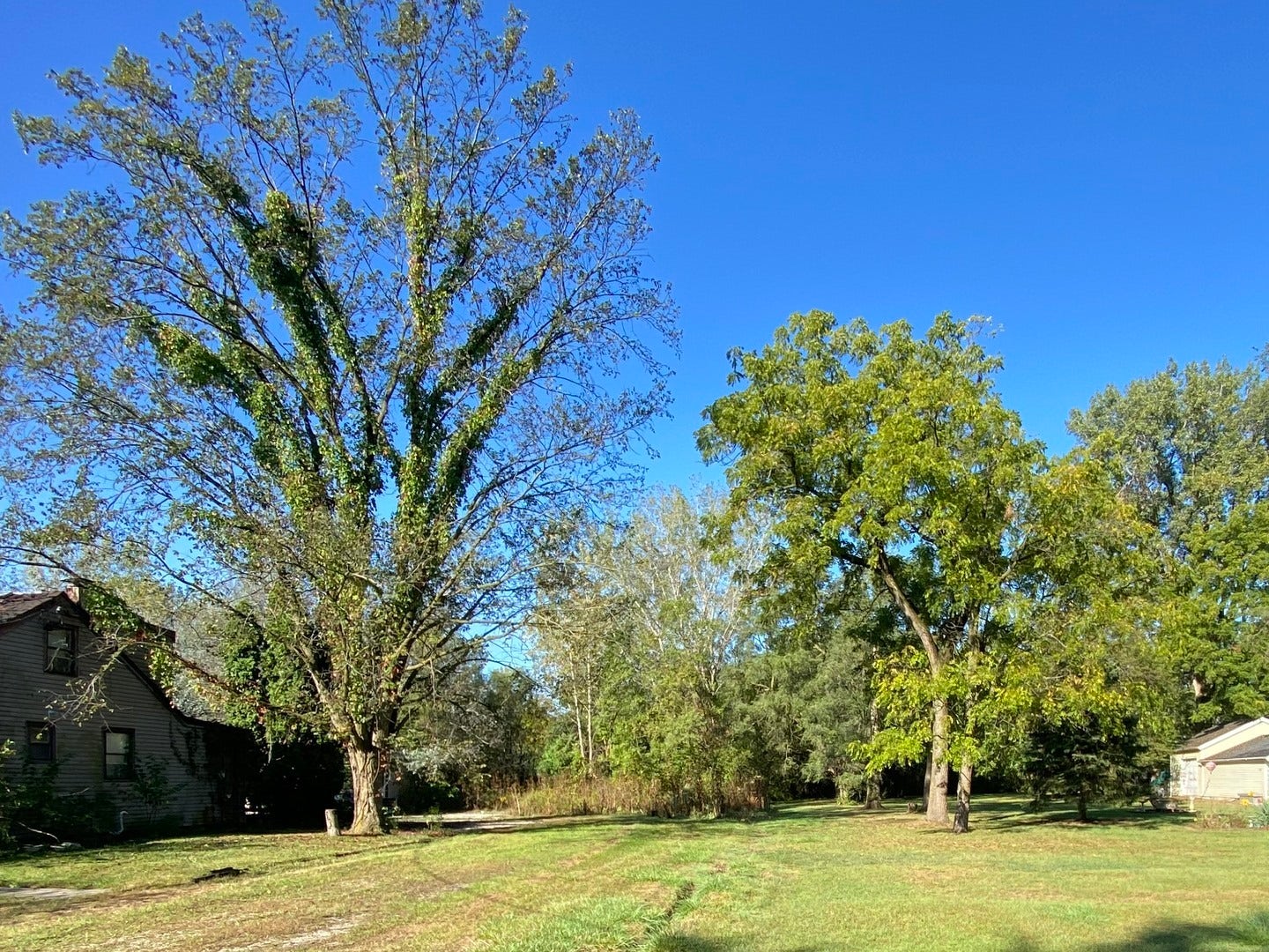 00 LOT 180th Street, Tinley Park, IL 60477