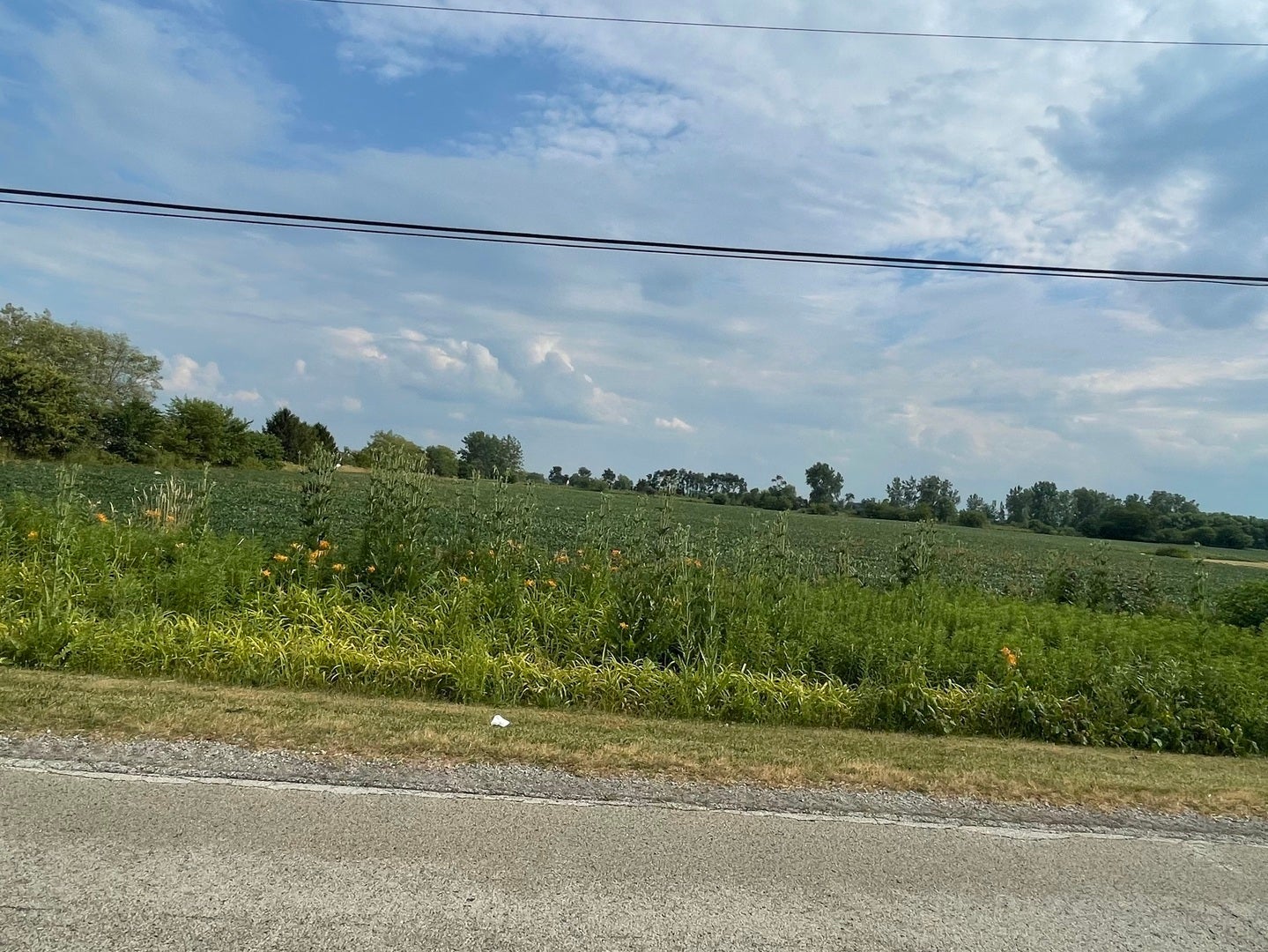 000 W Eagle Lake Road, Beecher, IL 60401