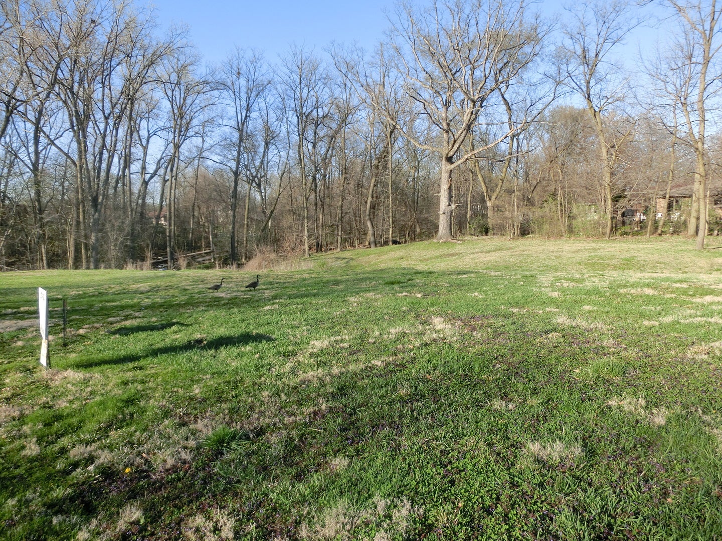 16966 FOREST GLEN Drive, Tinley Park, IL 60477 16966 FOREST GLEN Drive, Tinley Park, IL 60477