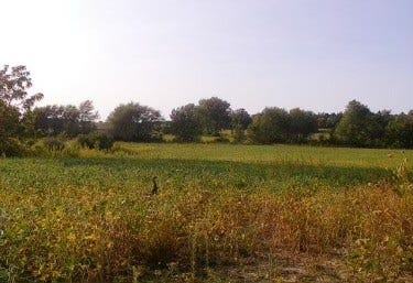 Property photo for Lot 8 S 80th Avenue, Monee, IL