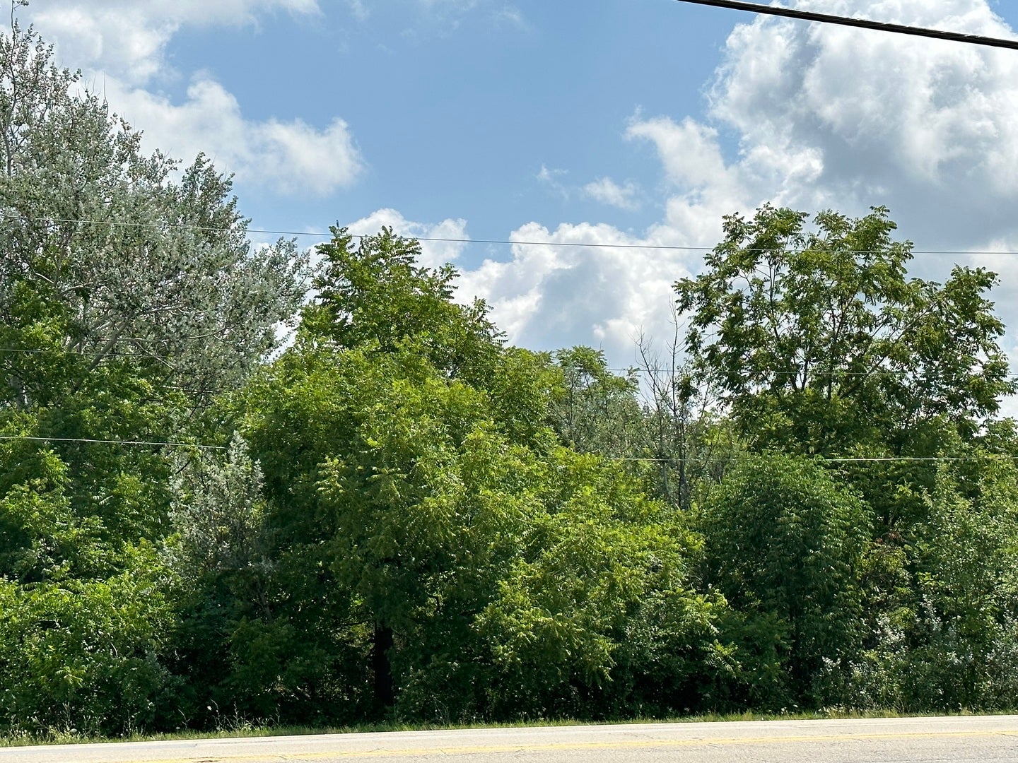 14463 S Bell Road, Homer Glen, IL 60491 14463 S Bell Road, Homer Glen, IL 60491