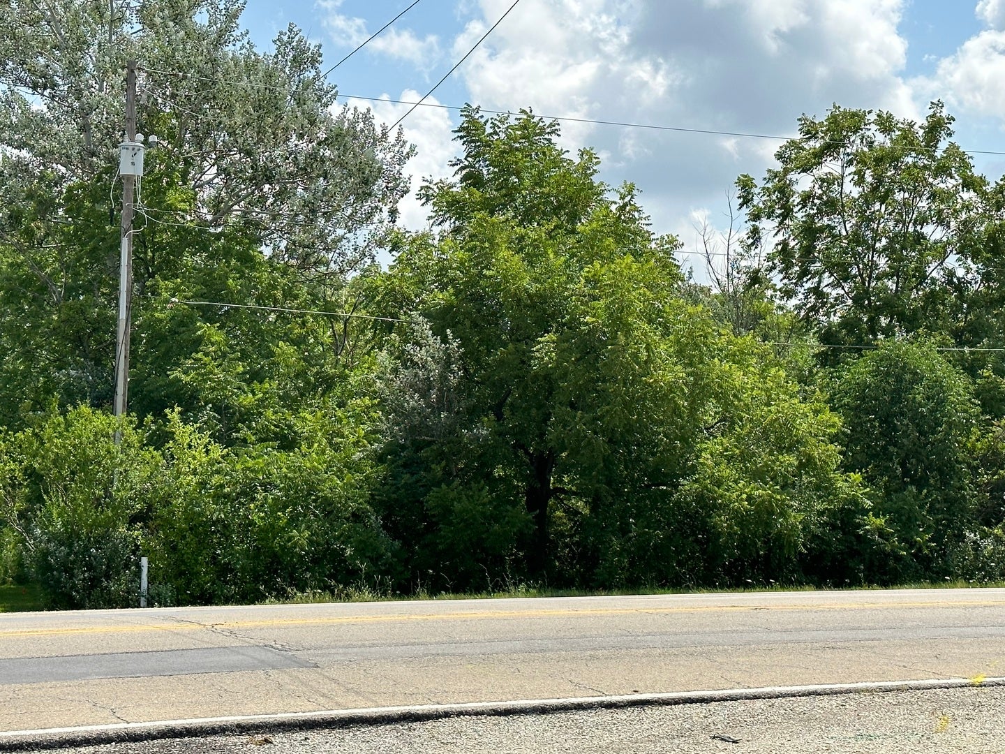 14463 S Bell Road, Homer Glen, IL 60491 14463 S Bell Road, Homer Glen, IL 60491