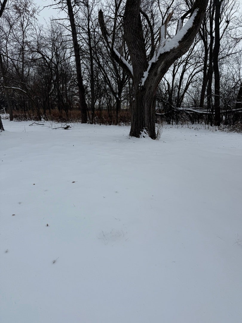 Property photo for 19611 Crawford Avenue, Flossmoor, IL