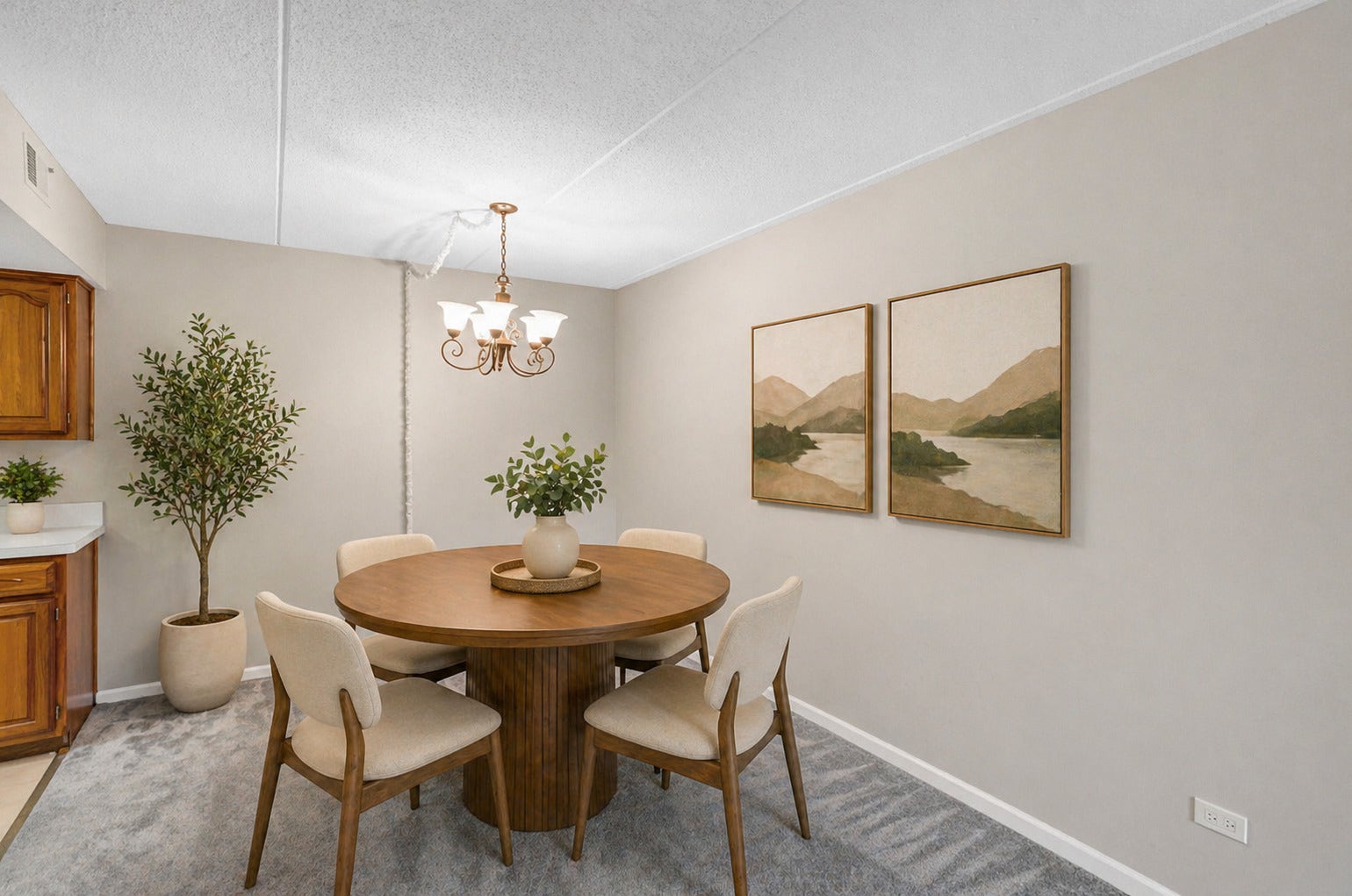 8025 Woodglen Lane, #309, Downers Grove, IL 60516 8025 Woodglen Lane, #309, Downers Grove, IL 60516